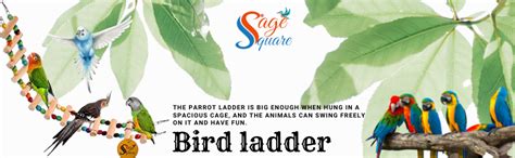 Sage Square Bird Cage Hanging Ladder 48cm - Step Up Your Bird's Fun ...