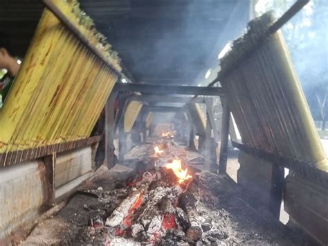 Malaysia Agriculture 的图像结果