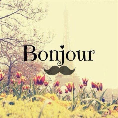 Good Morning (Bonjour) Wishes In French With Images - Good Morning Wishes