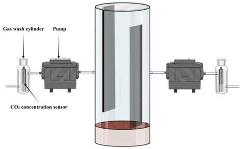 Development and Optimization of a Chamber System Applied to Maize Net ...