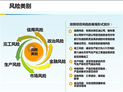 项目融资案例分析_word文档在线阅读与下载_免费文档