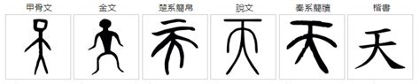 男孩取名带天字的寓意 天字100分名字-周易起名-国学梦