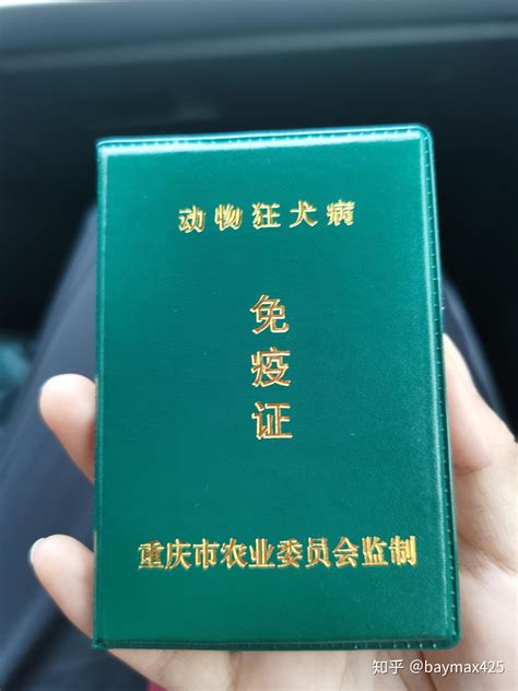 上海卢湾区哪里有叉车证(N1）审证多少钱？，？_上海生州教育投资发展有限公司