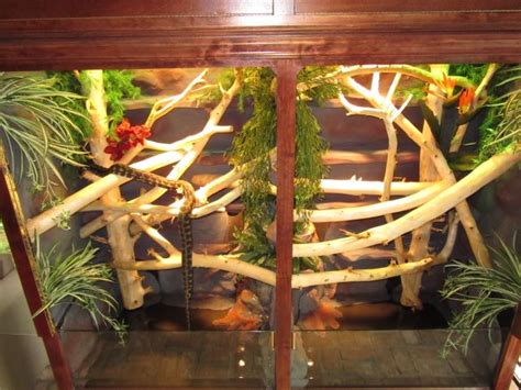 Image result for Reptile Python Cage