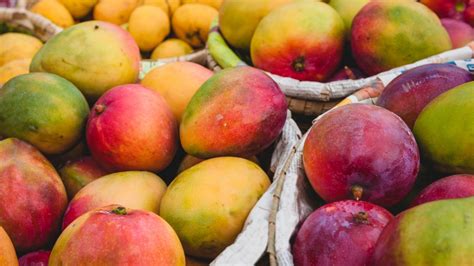 Which City Is Called the Mango City of India?