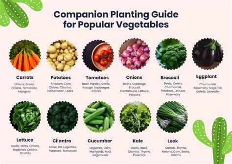 Printable Companion Planting Chart For Vegetables - Free Printable Charts