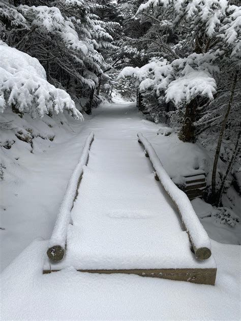 Mount LeConte weather: See the snowy sights from LeConte Lodge