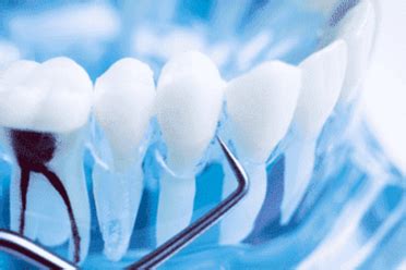 Dr Teeth Advanced Dental Care
