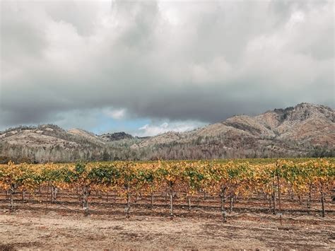 Napa Valley Temperature In June at Nichelle Hock blog
