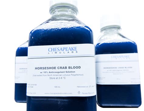 Horseshoe Crab Blood Lab at Christopher Price blog