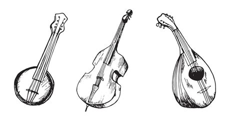 Image result for String Instruments Drawing