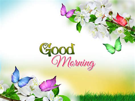 HD Good Morning Wallpapers - Wallpaper Cave