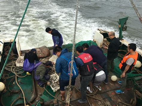 东海渔业：放与捕的“赛跑”-浙江新闻-浙江在线