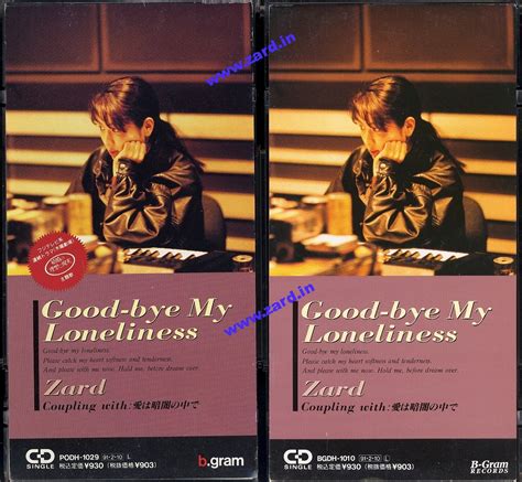 Good-bye My Loneliness