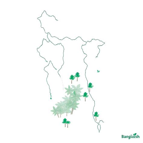 Top View Map of Bangladeshi Forest | Stable Diffusion Online