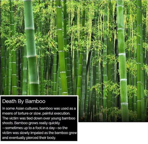 Image result for Famous Execution Methods