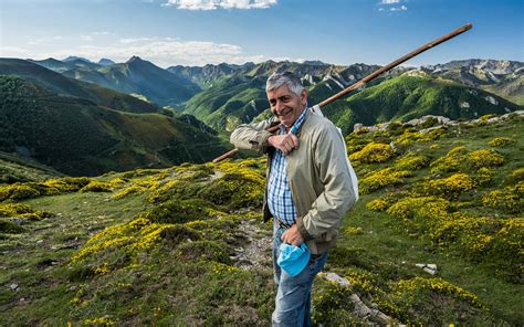 Destination | Bears & Waves