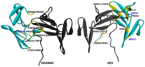 Identification of Protein–Excipient Interaction Hotspots Using ...