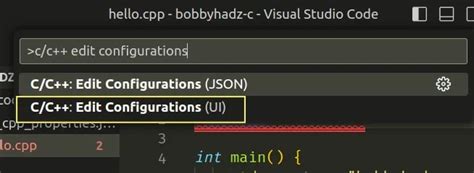 Update C Include Path 的图像结果