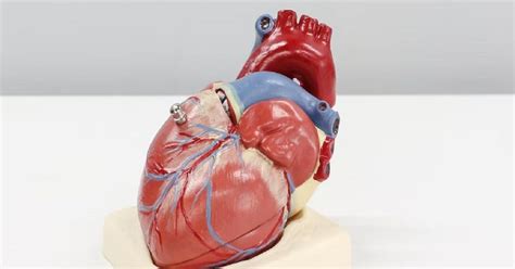 ये AI टूल हफ्तों पहले बता देगा कि फेल होने वाला है हार्ट, बनाने वाले ...