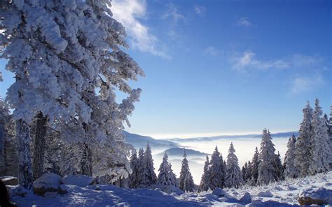 白茫茫的雪风景ppt背景图片|PPT宝藏提供