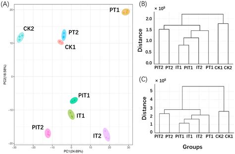 Unveiling Metabolic Crosstalk: Bacillus-Mediated Defense Priming in ...