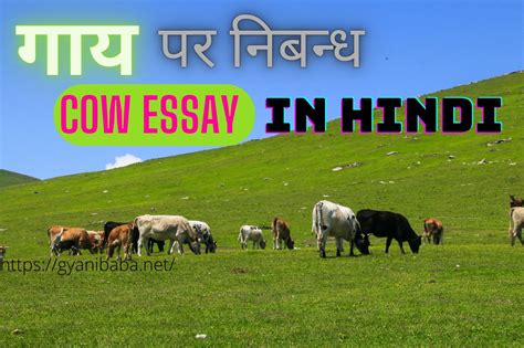 Cow Essay in Hindi | Cow Par Essay | गाय पर निबन्ध हिंदी