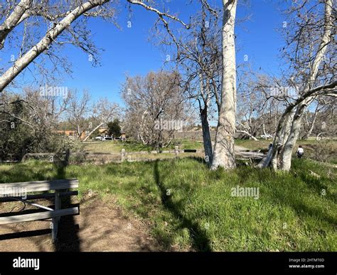 Trees and picnic tables are visible at Sycamore Grove Park, a park in ...
