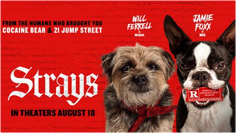 Review | Strays (2023) - Future of the Force