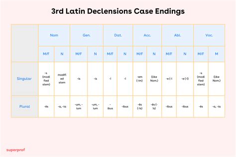 Latin Declensions Explained: Our Top Memorisation Tips