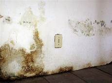 qual 232 l umidit 224 ottimale all interno della casa qual 232 l umidit 224 ottimale all interno della casa