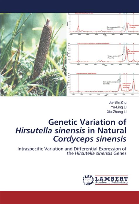 Buy Genetic Variation of Hirsutella sinensis in Natural Cordyceps ...