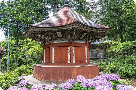 Python Scripting Challenges に対する画像結果