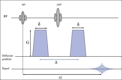 Rezultat imagine pentru Basic Sequence