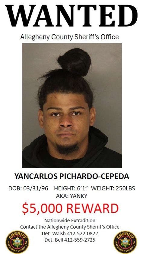 Police: Fugitive wanted in NY and PA may be in Fairfield County