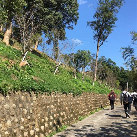 RIBEN PARK (Updated 2026) All You Need to Know BEFORE You Go (with Photos)