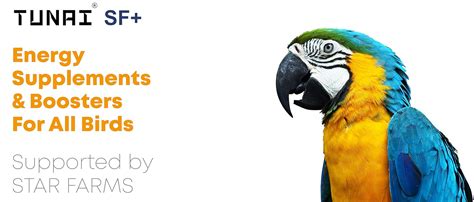 SF+ Birds Care |100ml|Healthy Supplement Fortified With Vitamins For ...