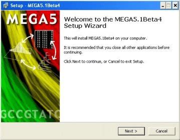Mega Software Installation 的图像结果