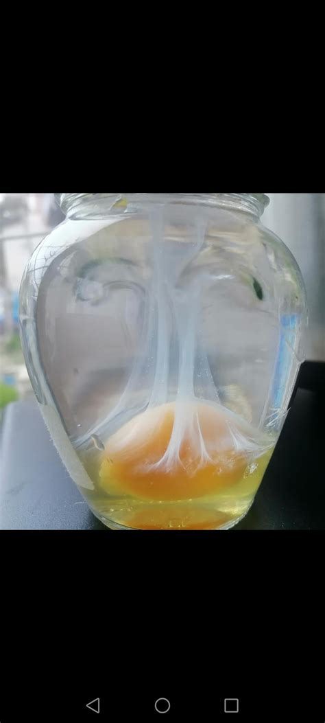 Egg cleanse. Can someone help me with this reading? : r/BabyWitch