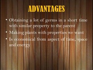 Modern Biotechnology 的图像结果