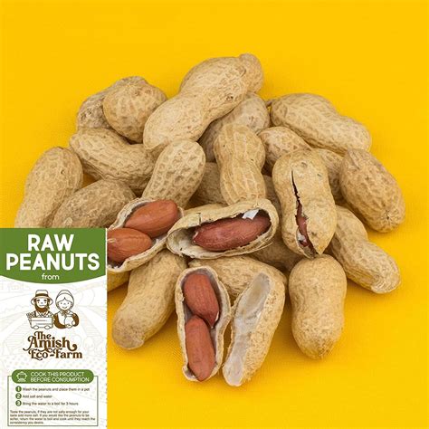Amish Eco-Farm Raw Peanuts in Shell - 2lbs (Ideal for Boiling, Feed Squirrels and Birds) | Buy ...