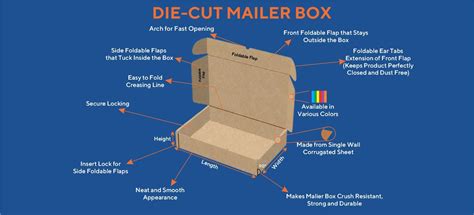 Die-Cut vs. RSC Boxes: Which Is Best?