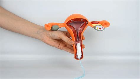 Boric Acids Capsules Tighten And Detox Vaginal Organic 600mg Boric Acid Suppositories Pills ...