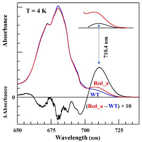 High-Resolution Frequency-Domain Spectroscopic and Modeling Studies of ...
