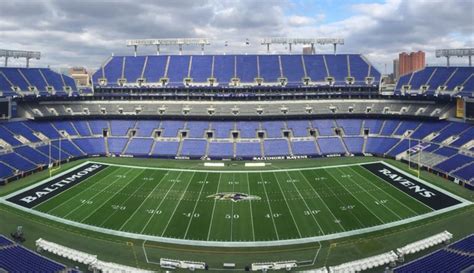 Sport Field 的图像结果