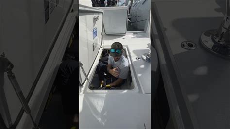 How to Use Reverso Auto Engine Flush 的图像结果