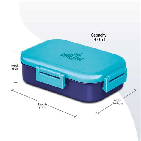 Buy Senior Flatmate Insulated Lunch Box Online - Milton