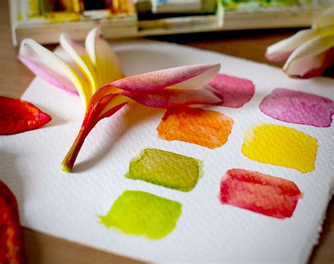 Color Scheme 的图像结果