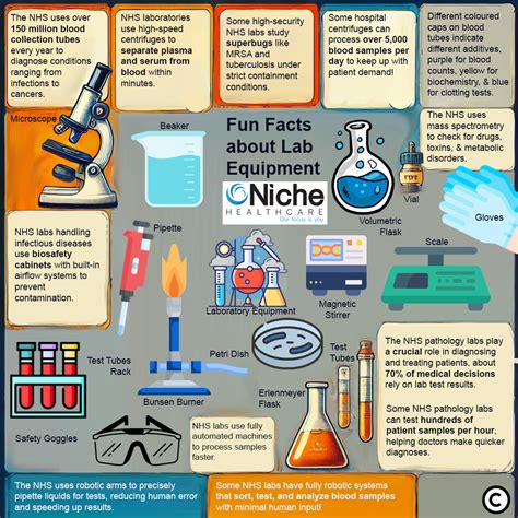 Automatic Microtome - Niche Healthcare