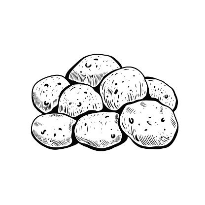 Image result for Potato Man Project Python Coding
